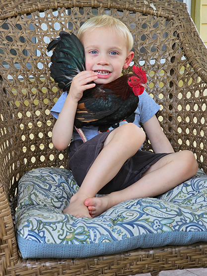 London with his pet rooster named Monster